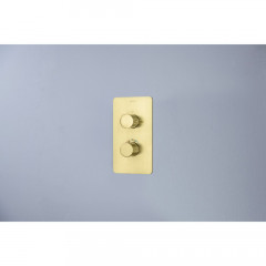 AQ1391BG ЕВРОПА термостатический смеситель для душа 1 режим (внешняя и скрытая часть), шлиф. золото