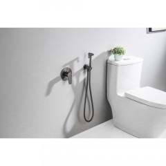 AQ1119BGM БЕТТА набор с гигиеническим душем (смеситель + гигиеническая лейка + шланг + шланговое подсоединение с держателем), оружейная сталь (шлиф. ч