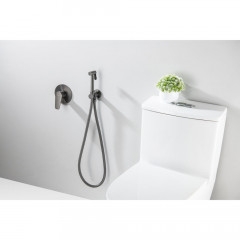 AQ1119BGM БЕТТА набор с гигиеническим душем (смеситель + гигиеническая лейка + шланг + шланговое подсоединение с держателем), оружейная сталь (шлиф. ч