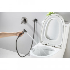 AQ1119BGM БЕТТА набор с гигиеническим душем (смеситель + гигиеническая лейка + шланг + шланговое подсоединение с держателем), оружейная сталь (шлиф. ч