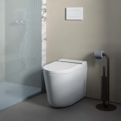 Artceram HYPE Унитаз-биде напольный 38X59см, безободковый, с soft-close, с пультом управл, цвет белый с покр Saniglaze (СПЕЦЦЕНА на 1шт с нашего скл!)