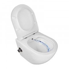 Унитаз подвесной c функцией биде Azario Allegro 360х490х360 безободковый, встроенный смеситель, крышка с сиденьем микролифт (AZ-3105B)