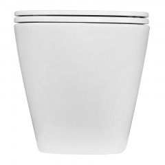 Унитаз подвесной Azario PRO 490х345х355 безободковый, в комплекте с быстросъемным сидением микролифт (PRO-002)