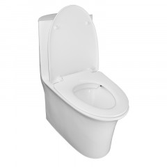 Унитаз моноблок Azario Luna 770x390x710 напольный, горизонтальный слив, сиденье дюропласт микролифт (AZ-1037)