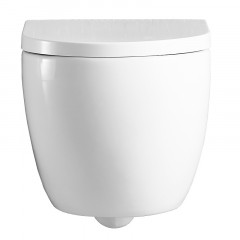 Унитаз подвесной с сиденьем микролифт, дюропласт. Azario ORMI 490*360*365 mm (AZ-0253VD)