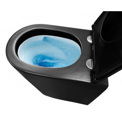 Унитаз подвесной Azario Teramo 355х515х365 смыв "Скрытое торонадо", безободковый, с быстросъемным сиденьем микролифт, черный матовый (AZ-0053-UQ3-MB)