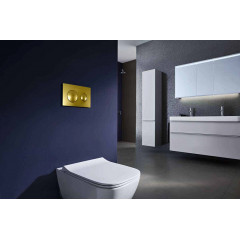 Кнопка смыва Azario двойная, золото матовое (AZ-8200-0014)