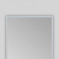 Зеркало AZARIO Elizabet 450х1600 с подсветкой, сенсорный выключатель с функцией диммера (AZ-Z-110CS)