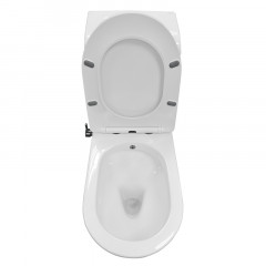 Унитаз-моноблок AZARIO BRUSCO 700x380x805 напольный, со встроенной функцией биде, в комплекте с сиденьем дюропласт микролифт (AZ-1085B)