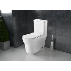 Унитаз-моноблок AZARIO SINTO 720х390х765 напольный, в комплекте с сиденьем дюропласт микролифт, белый (AZ-1098)