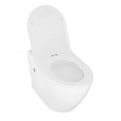 Унитаз импульсный Azario 360х570х450 напольный, полукруглый, быстросъемное сиденье микролифт (AZ-102)