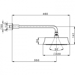 CISAL Cherie Верхний душ d=220мм, L350, для настенного крепления, цвет золото