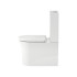 Duravit White Tulip Моноблок 370x650 мм, безободковый, слив универсальный, цвет: белый