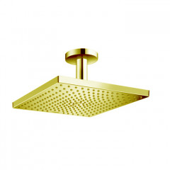 Hansgrohe Raindance Верхний душ, 300х300мм, 1 jet, потолочный держателем, цвет: золото