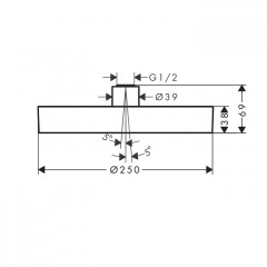 Hansgrohe Rainfinity Верхний душ, d=250мм, 1 jet, потолочный держателем, цвет: черный матовый