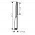 Hansgrohe Rainfinity Ручной душ 100 1jet, цвет: шлифованная бронза