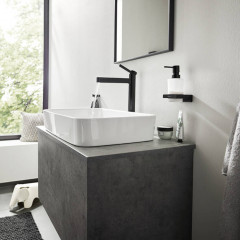 Hansgrohe AddStoris Крючок двойной, цвет: черный матовый