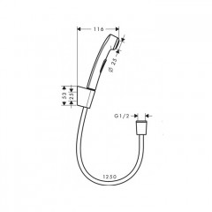 Hansgrohe Гигиенический душ 1jet, со шлангом 1.25м и настенным держателем, цвет: полированное золото