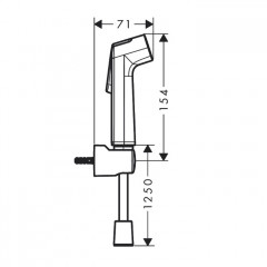 Hansgrohe Гигиенический душ, настенный, 1 jet, цвет: хром