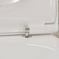 Hansgrohe EluPura Original S Сиденье для унитаза, с микролифтом, с верхним креплением, цвет: белый