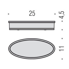 Colombo Land Корзинка для душевых принадлежностей, настольная, цвет: хром/матовое стекло