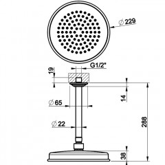 GESSI VENTI20 Верхний душ 200 мм., с потолочным держателем 288 мм., цвет Finox Brushed Nickel