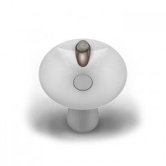 Gessi Equilibrio Ручка однорычажного смесителя для раковины, дизайнерская, цвет: Forest Gold