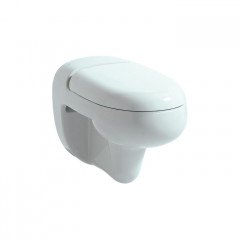 LAUFEN Florakids Сиденье для унитаза 8.2003.1, цвет белый, антибактериальное покрытие, цвет белый/микролифт (Без унитазов продаем по запросу!