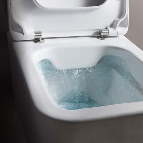 LAUFEN Pro S Сиденье для унитаза для 82096.1/2, съемное, цвет белый/микролифт (Со склада последние 3шт продаем с унитазом 8.2096.2.000.000.1)