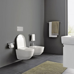 LAUFEN Pro Комплект: унитаз подвесной Rimless 8.2096.6.000.000.1 + сиденье soft-close 8.9395.9.000.000.1, цвет белый (АКЦИЯ:со скл- сидение за 1руб!)