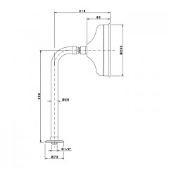 Nicolazzi Doccia Верхний душ 200 мм., в комплекте с настенным держателем, цвет Polished Nickel