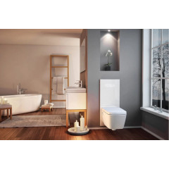 TECEone Сиденье для унитаза съемное, цвет белый