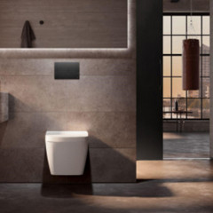 TECEsolid. Панель смыва с двойной системой смыва для унитаза, цвет графит с текстурой линии (Продаем отлдельно)