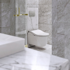 TOTO WASHLET RW Сиденье 579*391*108мм, с дистанционным управлением и автосмывом, для унитаза: CW542EY, цвет: белый