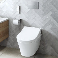 TOTO WASHLET RG Lite Сиденье- вошлет 383х540х130 мм, с дистанционным управлением, для унитаза CW553EY, цвет: белый