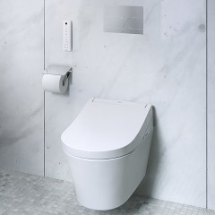 TOTO WASHLET RG Lite Сиденье- вошлет 383х540х130 мм, с дистанционным управлением, для унитаза CW553EY, цвет: белый