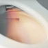 TOTO NEOREST WX1 WASHLET Сиденье 449*667*122 мм, с дистанционным управлением, (требуется для подкл. HM183), для унитаза: CW927PZY, цвет: белый