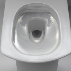 TOTO NEOREST AC WASHLET Сиденье 423x675x119 мм, с дистанционным управлением, для унитаза: AC CW996P, цвет: белый