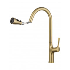 Смеситель для кухни с выдвижным изливом WONZON & WOGHAND, Брашированное золото (WW-AE54123-BG)