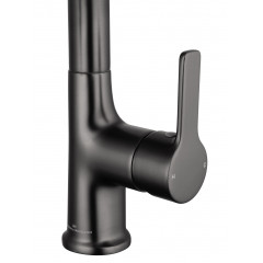 Смеситель для раковины с выдвижным изливом WONZON & WOGHAND, Темный графит (WW-FE01L212-BGG)