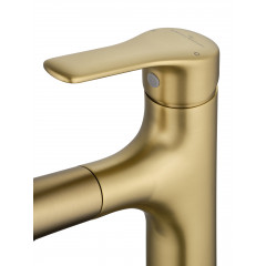 Смеситель для раковины с выдвижным изливом WONZON & WOGHAND, Брашированное золото (WW-AE4151-BG)