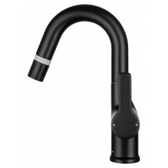 Смеситель для раковины с выдвижным изливом WONZON & WOGHAND, Черный матовый (WW-FE01L212-MB)