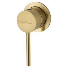 Смеситель для раковины встраиваемый WONZON & WOGHAND STICK, Брашированное золото (WW-88869017-BG)