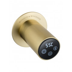 Полотенцесушитель электрический встраиваемый WONZON & WOGHAND DORTMUND, Брашированное золото (WW-A365-BG)