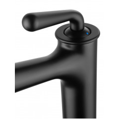 Смеситель для раковины высокий WONZON & WOGHAND STEAM, Черный матовый (WW-88239008-MB)