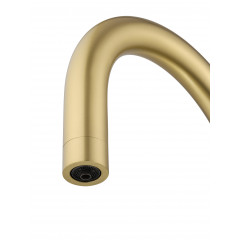 Смеситель для кухни c подключением фильтра WONZON & WOGHAND, Брашированное золото (WW-3211-BG)