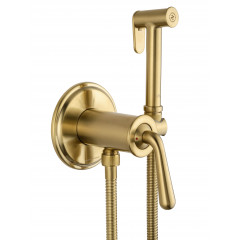 Смеситель с гигиеническим душем встраиваемый WONZON & WOGHAND STEAM, Брашированное золото (WW-88829008-BG)