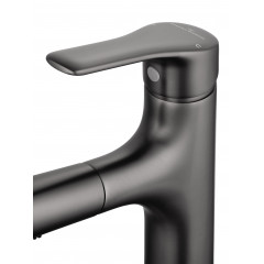 Смеситель для раковины с выдвижным изливом WONZON & WOGHAND, Темный графит (WW-AE4151-BGG)