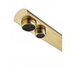 Смеситель для кухни c подключением фильтра WONZON & WOGHAND, Брашированное золото (WW-88458003-BG)