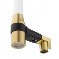 Смеситель для кухни с гибким изливом и подключением фильтра WONZON & WOGHAND, Брашированное золото (WW-88458013-BG(MW))